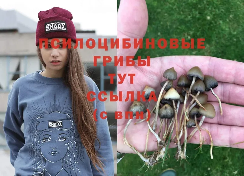 Псилоцибиновые грибы Magic Shrooms  МЕГА вход  Балахна 